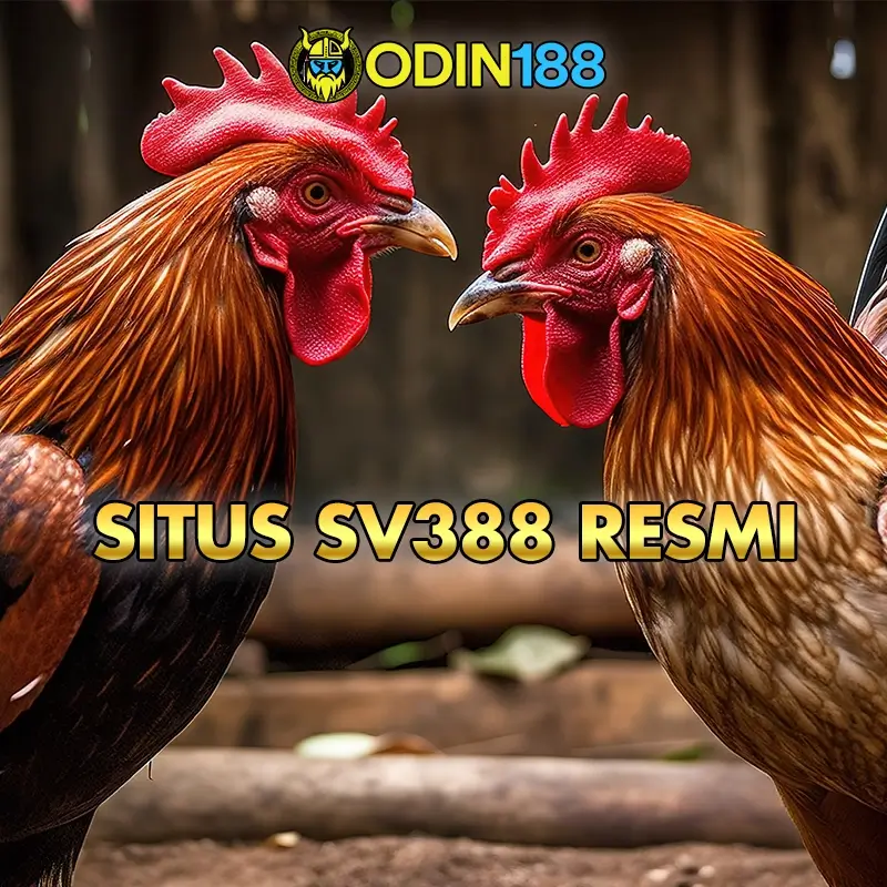 SV388: Situs Judi Sabung Ayam Online 24 Jam Live Wala Meron Terbaik